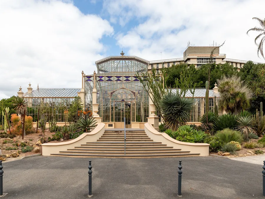 Things to do in adelaide questions